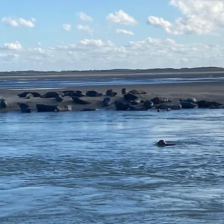 Cote Port Appartamento *